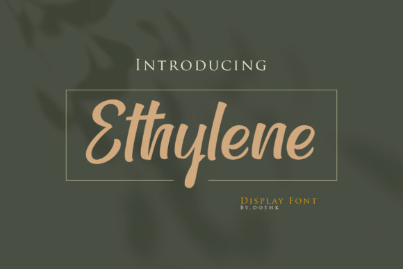 Ethylene: A Handwritten Font That Elevates Real Small Business Branding
