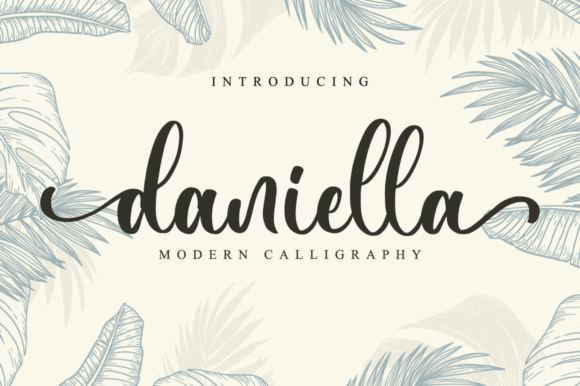 How Daniella Font Transformed My Brand’s Visual Identity